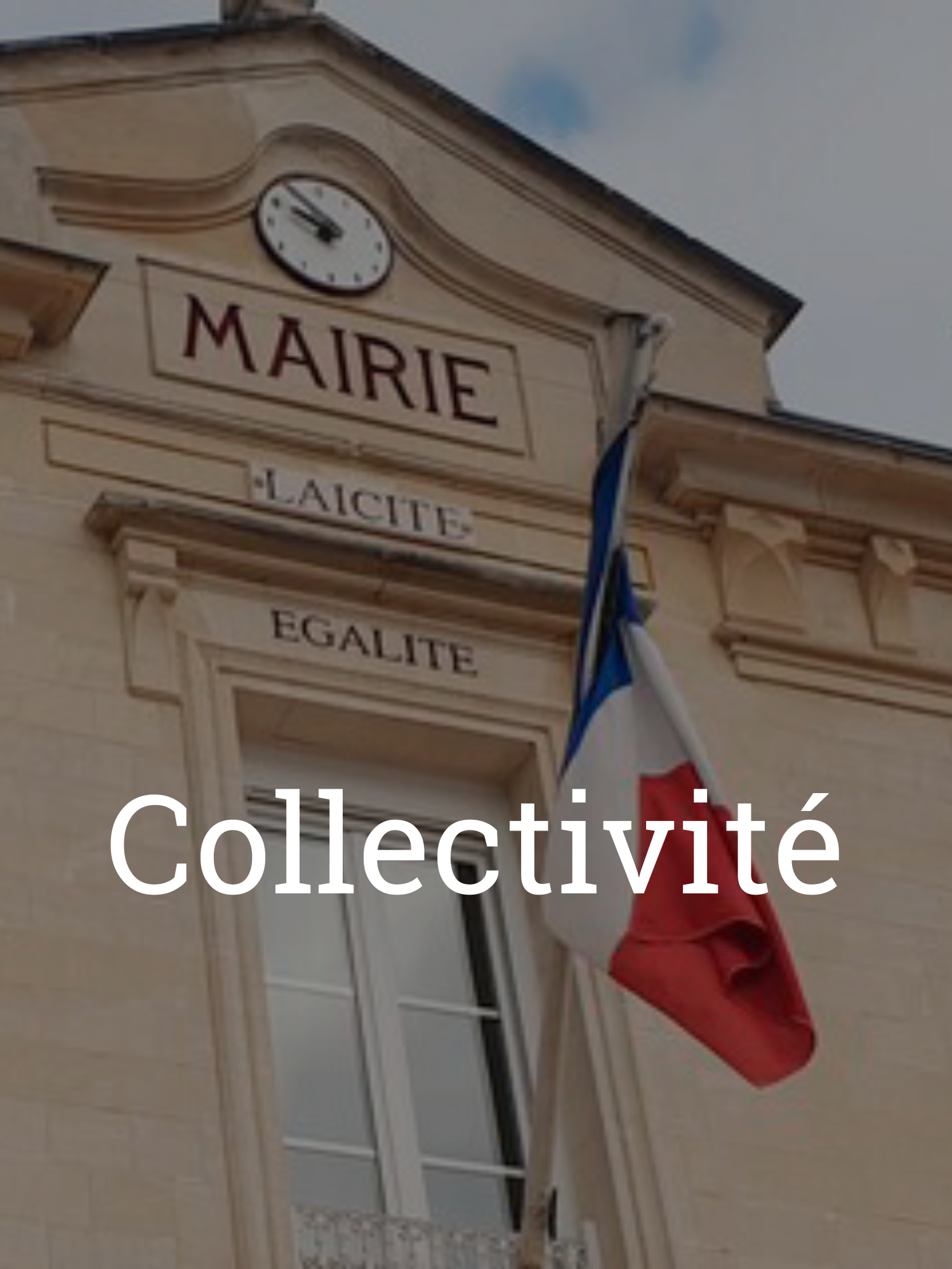 collectivité